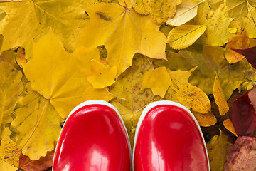 Image showing close up of red rubber boots on autumn leaves