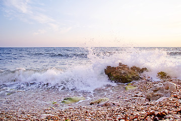 Image showing sea coast