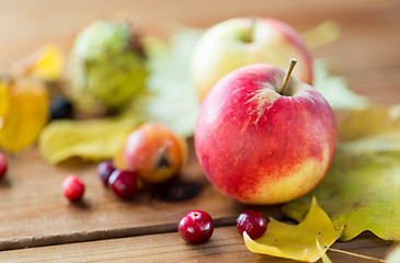 Image showing close up of autumn leaves, fruits and berries