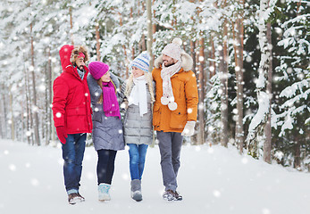 Image showing group of smiling men and women in winter forest