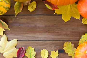 Image showing frame of many different fallen autumn leaves