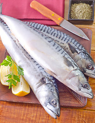 Image showing raw fish