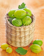 Image showing gooseberry