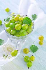 Image showing gooseberry