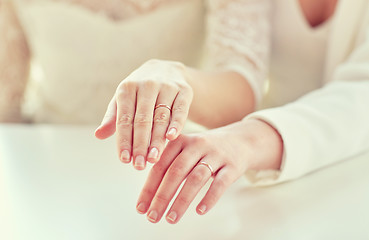 Image showing close up of lesbian couple hands and wedding rings