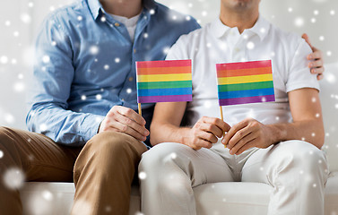 Image showing close up of male gay couple holding rainbow flags