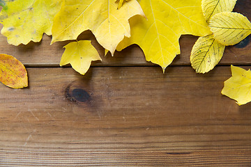 Image showing close up of many different fallen autumn leaves