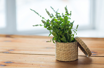 Image showing close up of melissa in basket on wooden table