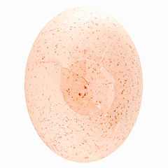 Image showing Retro looking Cracked egg