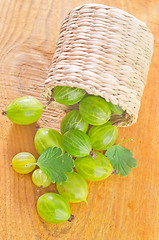 Image showing gooseberry