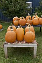 Image showing Pumpkin, Season