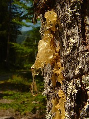 Image showing resin drop