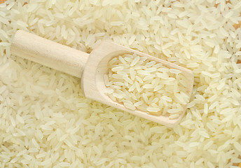 Image showing raw rice