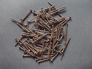 Image showing Wood screw