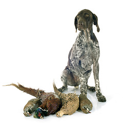 Image showing hunting games and dog