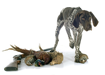 Image showing hunting games and dog