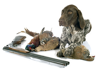 Image showing hunting games and dog