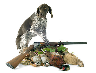 Image showing hunting games and dog