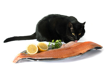 Image showing cat and salmon