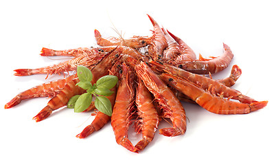 Image showing Drunken shrimp