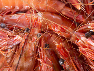 Image showing Drunken shrimp