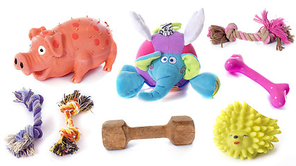 Image showing dog toys
