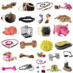 Image showing pet accessories