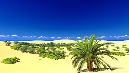 Image showing African oasis on Sahara