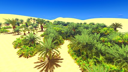 Image showing African oasis on Sahara