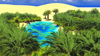 Image showing African oasis on Sahara