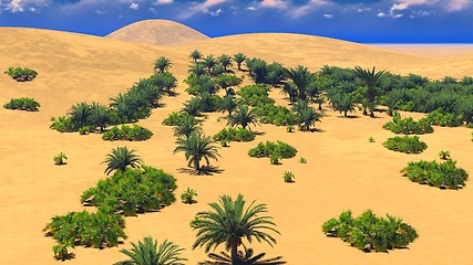 Image showing African oasis on Sahara