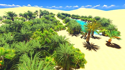 Image showing African oasis on Sahara