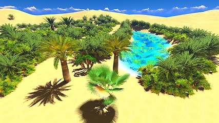 Image showing African oasis on Sahara