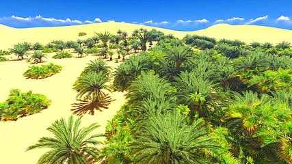 Image showing African oasis on Sahara