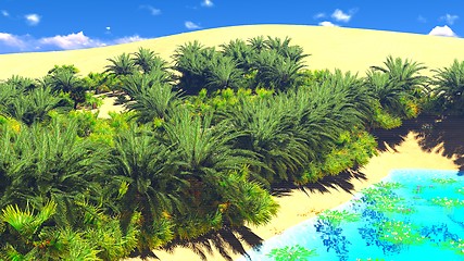 Image showing African oasis on Sahara