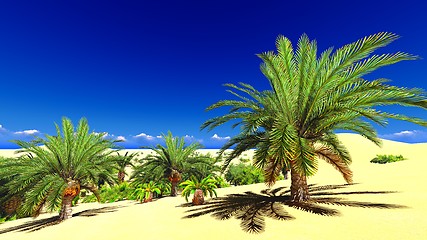 Image showing African oasis on Sahara