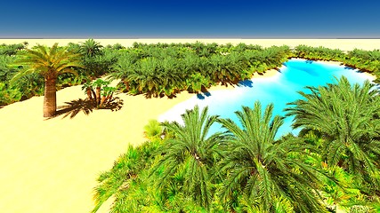 Image showing African oasis on Sahara