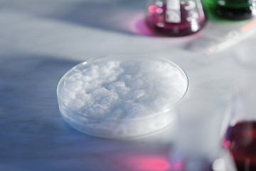 Image showing close up of petri dish with chemical in lab