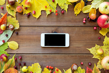 Image showing smartphone with autumn leaves, fruits and berries