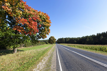 Image showing Autumn road . autumn 