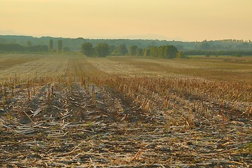 Image showing Agircutural field