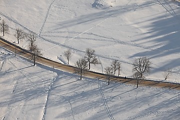 Image showing Winter road with trees