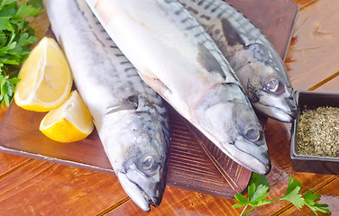 Image showing raw fish