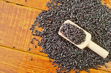 Image showing black rice