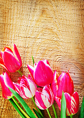 Image showing Tulips