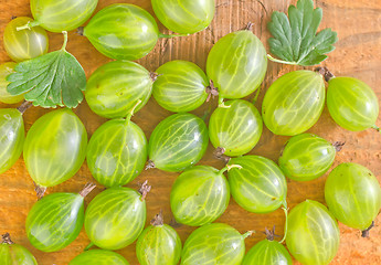 Image showing gooseberry