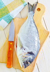 Image showing raw fish