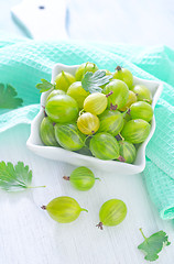 Image showing gooseberry