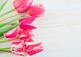 Image showing Tulips