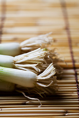 Image showing Scallions